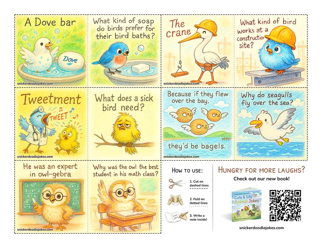 Birds joke notes pack 1